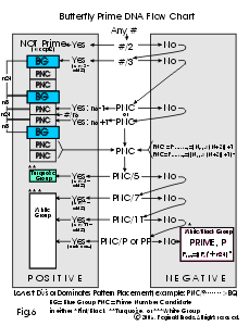 Fig 6:Butterfly Prime DNA Flow Chart
